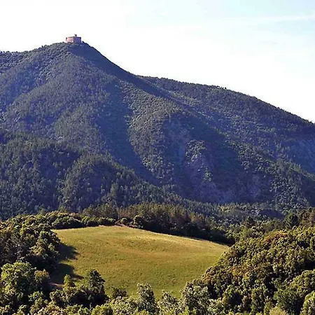 Matteotti Volterra